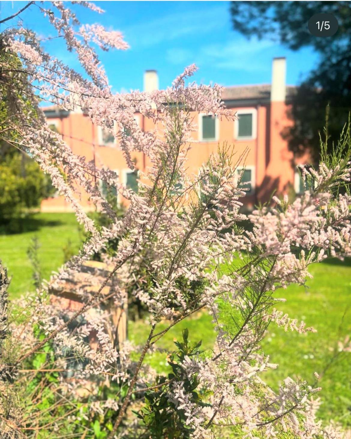 Agriturismo Ca' Bonelli 1924 Scardovari Extérieur photo